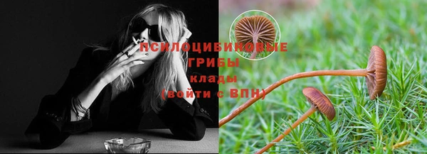 крисы Гусев
