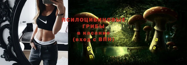 сатива Гусь-Хрустальный