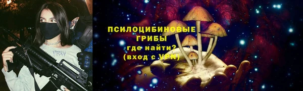 крисы Гусев