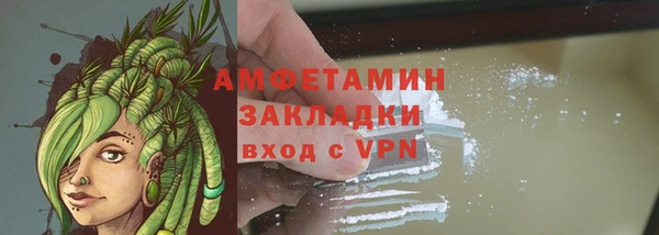 сатива Гусь-Хрустальный