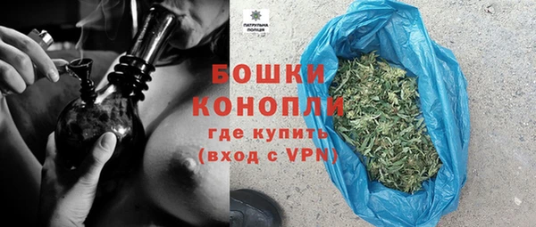 сатива Гусь-Хрустальный