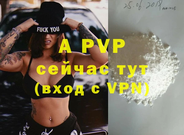 крисы Гусев