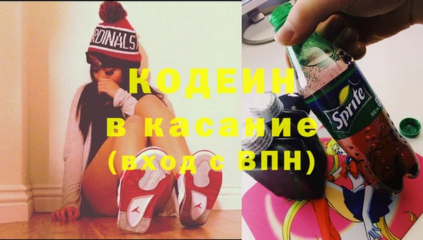 сатива Гусь-Хрустальный