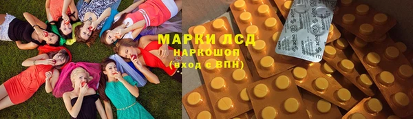 крисы Гусев