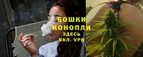 сатива Гусь-Хрустальный